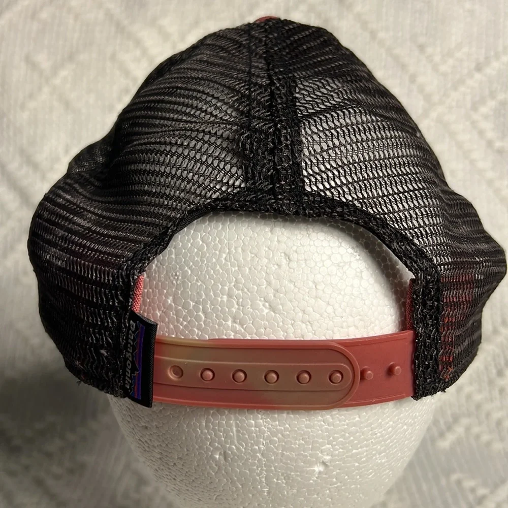 Patagonia Fitz Roy Bison Trucker hat